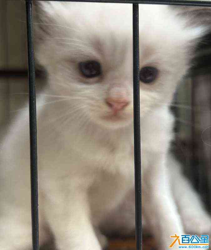 wechat_upload1717239791665affefd60a6