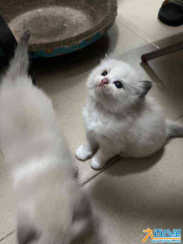 wechat_upload17178138396663c24fe3d09