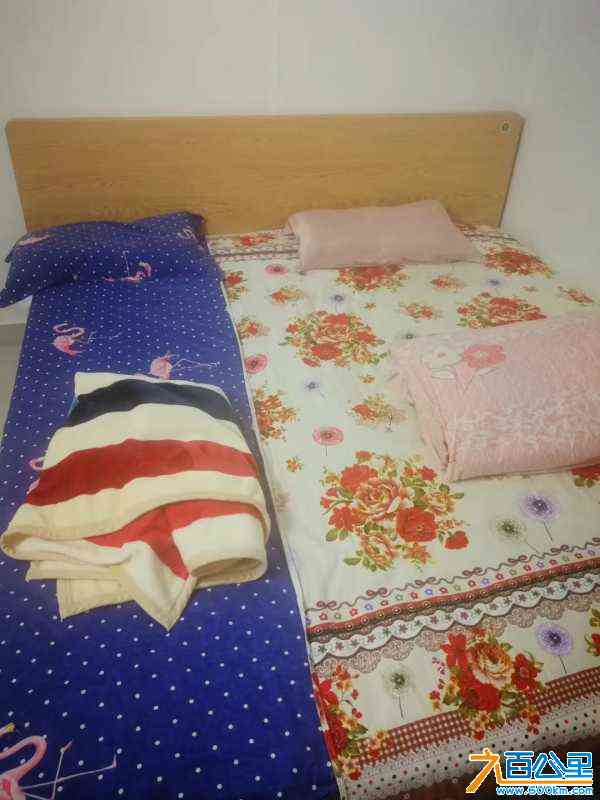 wechat_upload171784084566642bcdd3a9d
