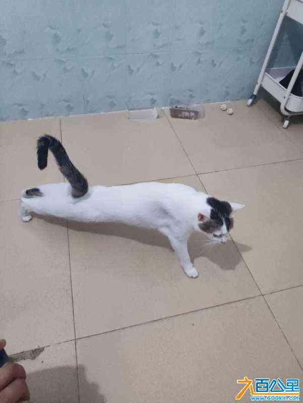 wechat_upload171911551266779ef892907