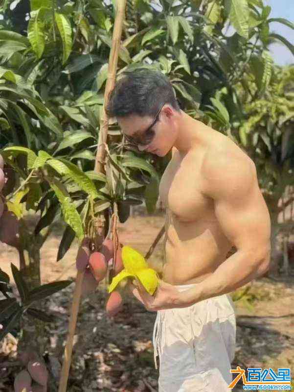 wechat_upload1719390317667bd06d93f27