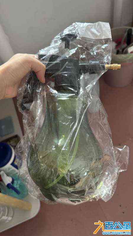 wechat_upload1719652976667fd270a0284