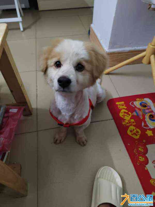 wechat_upload17201017876686ab9b7520c