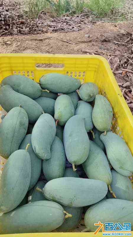 wechat_upload1721401559669a80d7d056a