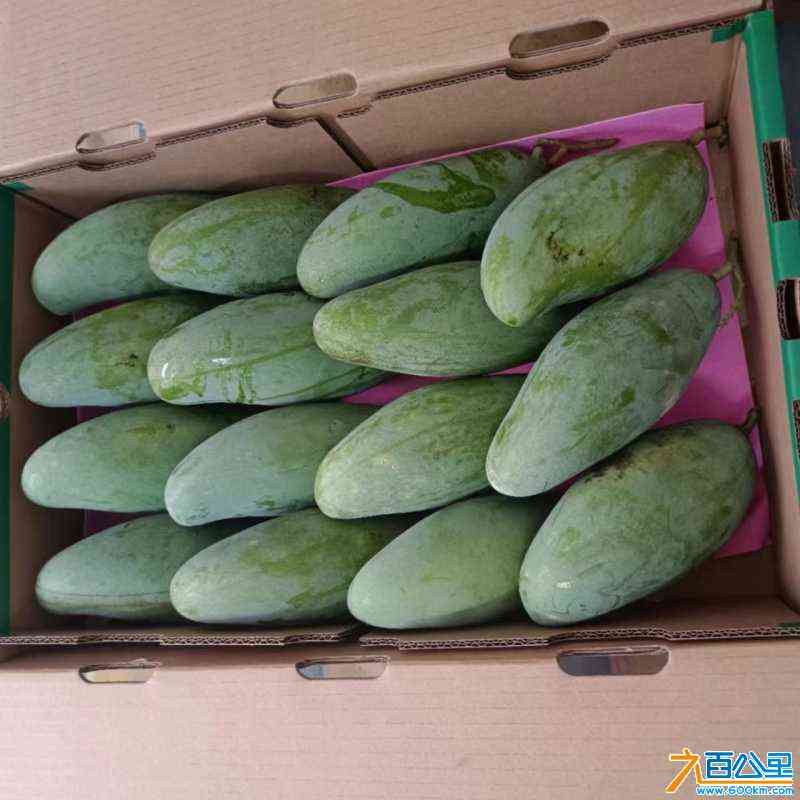 wechat_upload1721401562669a80daedb2e