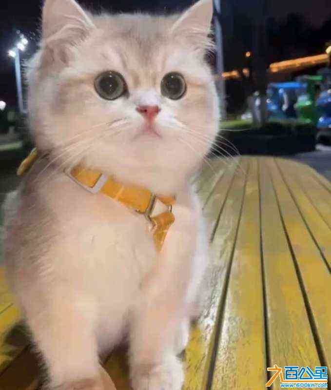 wechat_upload1721474576669b9e109fc2b