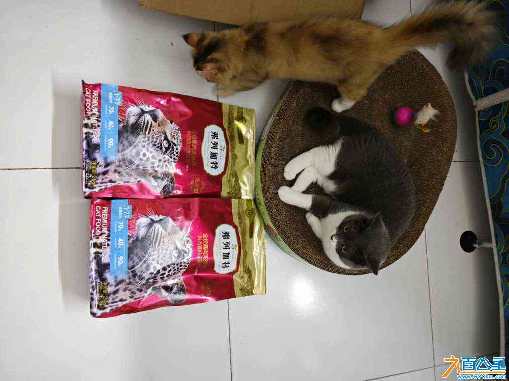 wechat_upload1721529565669c74dd2377d