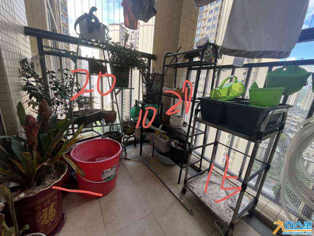 wechat_upload1721544716669cb00c78ba6