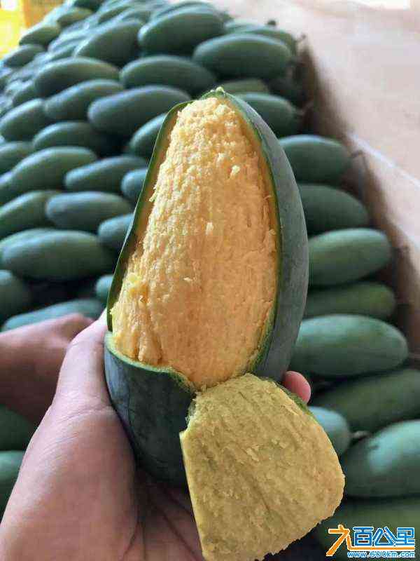 wechat_upload1721566594669d05824f136