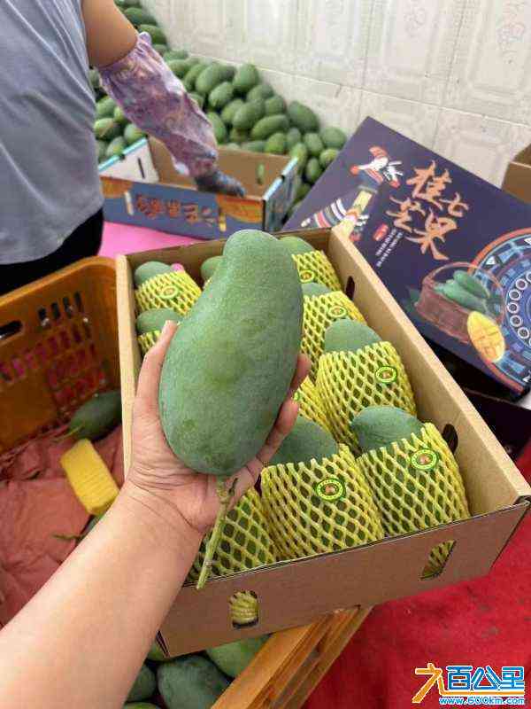 wechat_upload172189217366a1fd4d1362a