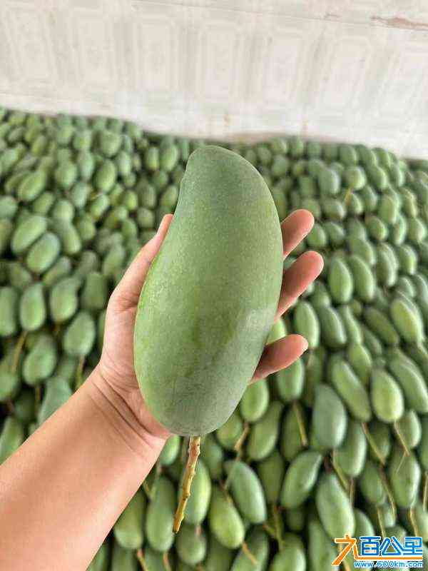 wechat_upload172189217466a1fd4eb4020