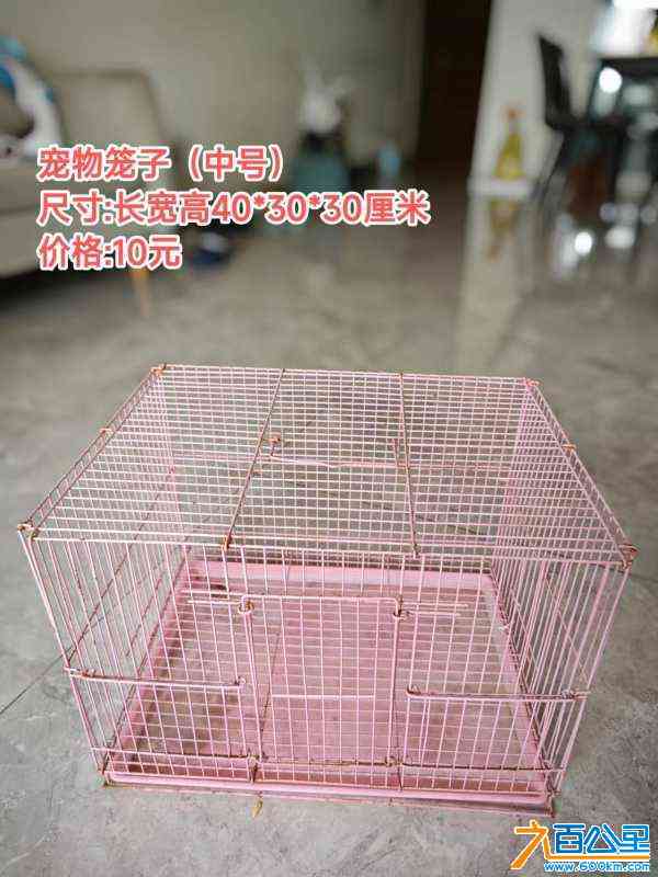 wechat_upload172214575366a5dbd966200