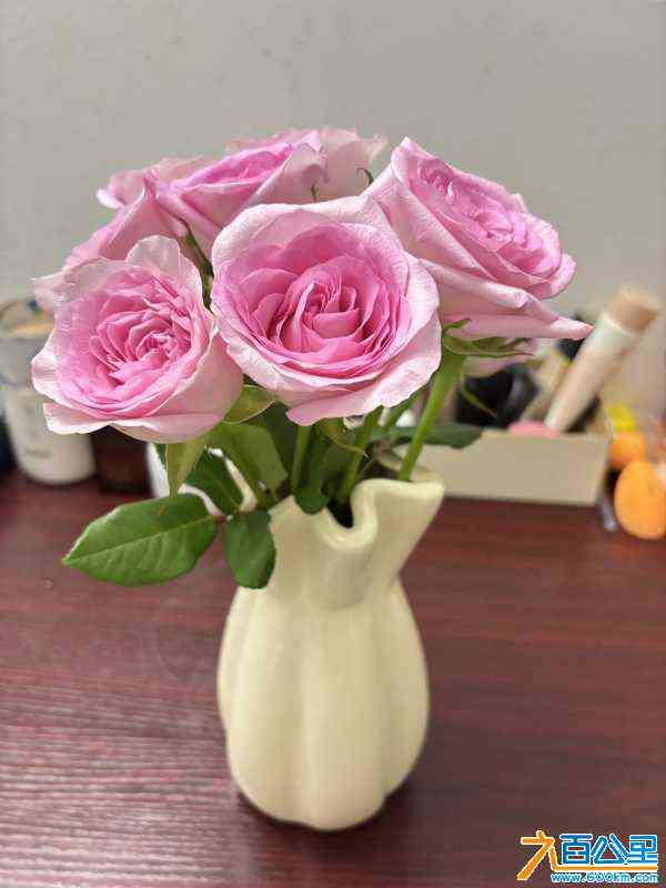 wechat_upload172233664666a8c58624904