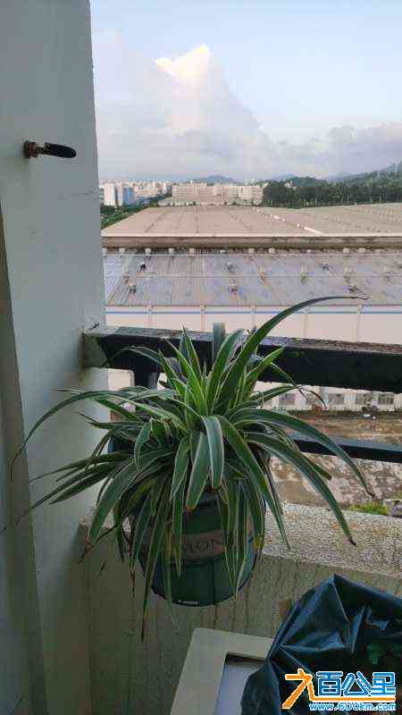 wechat_upload172244145666aa5ef058789