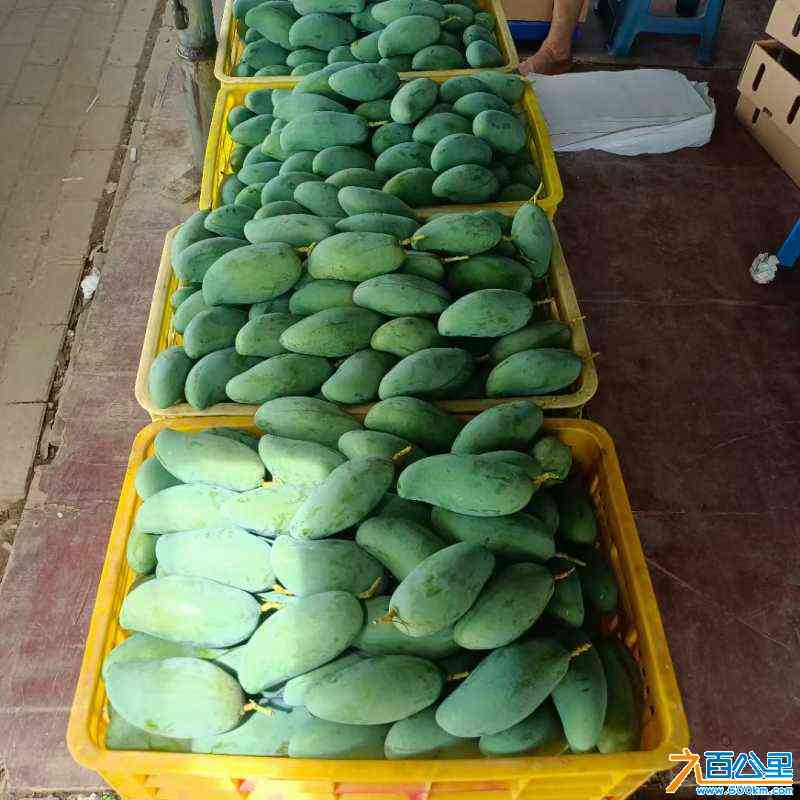 wechat_upload172252384066aba0c03476c
