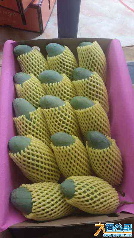 wechat_upload172252384266aba0c20b8f9