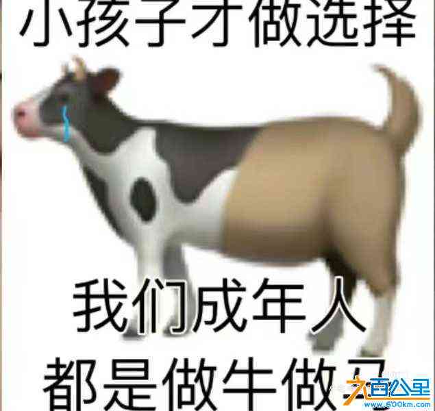wechat_upload172258923566aca033b25ef