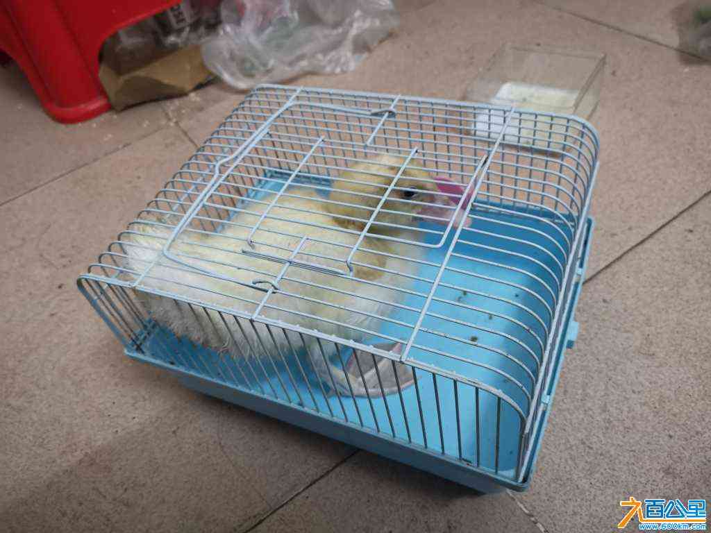 wechat_upload172268649366ae1c1d0a461