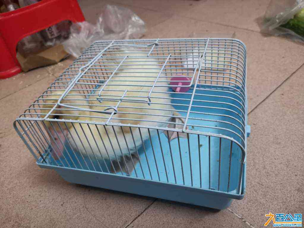 wechat_upload172268649666ae1c205e890