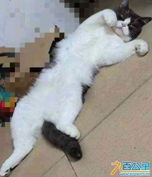 wechat_upload172269900766ae4cffb0454