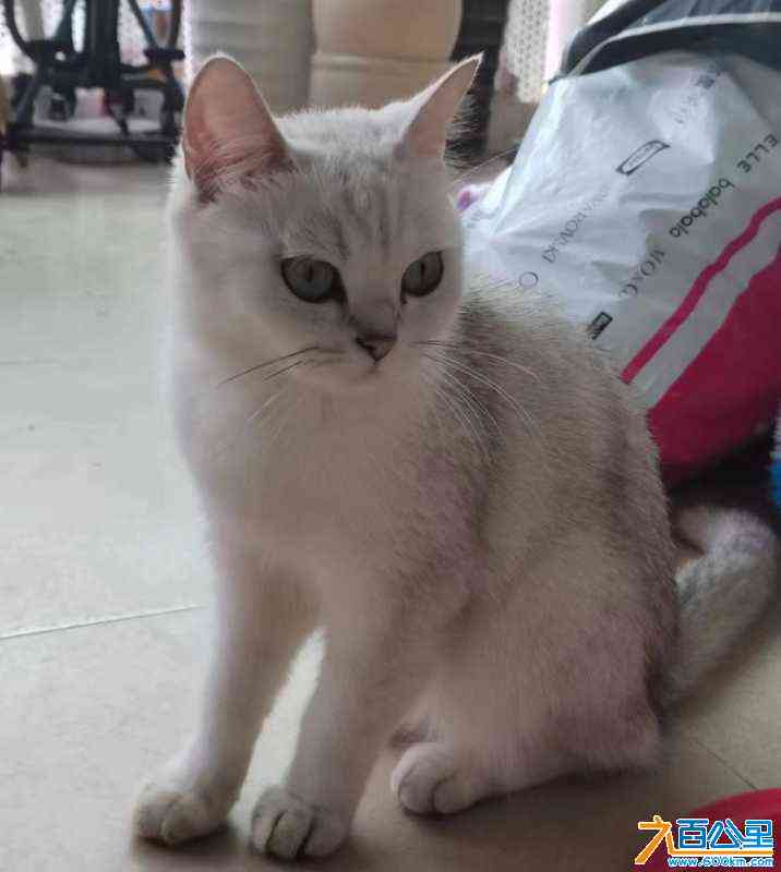 wechat_upload172286830666b0e252d0754