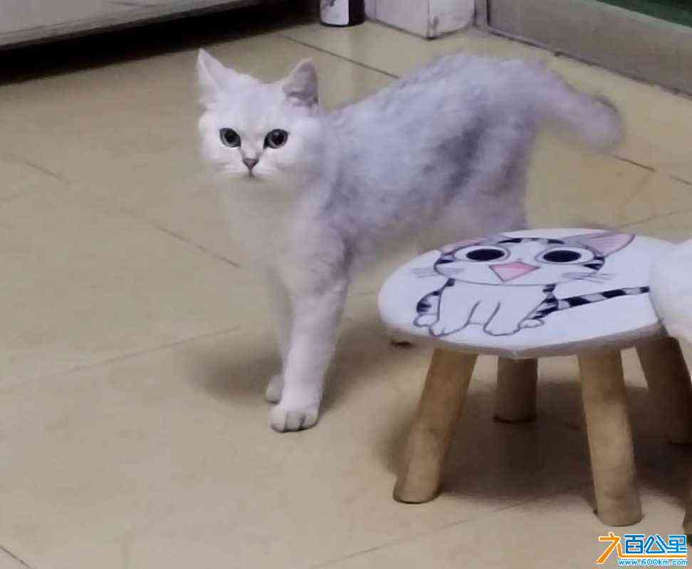 wechat_upload172286830866b0e25488886