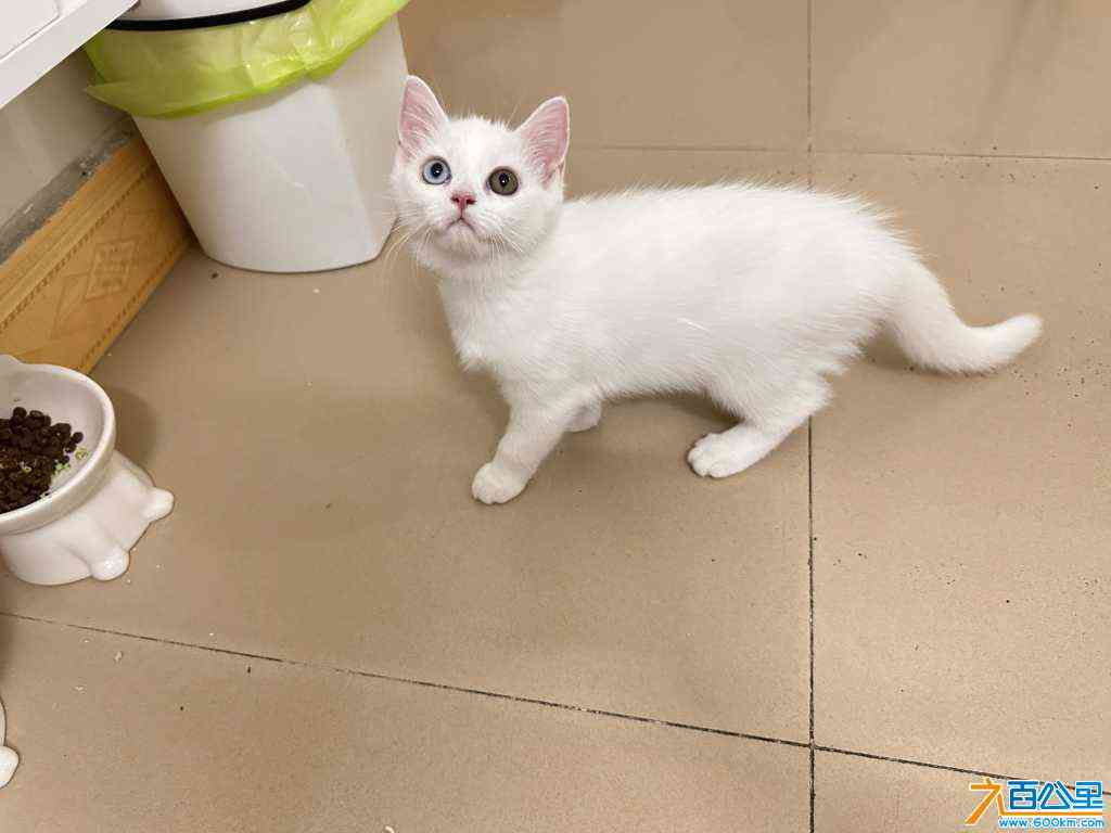 wechat_upload172318128666b5a8e66b2a4