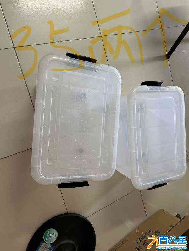 wechat_upload172334734166b8318d5f8bc