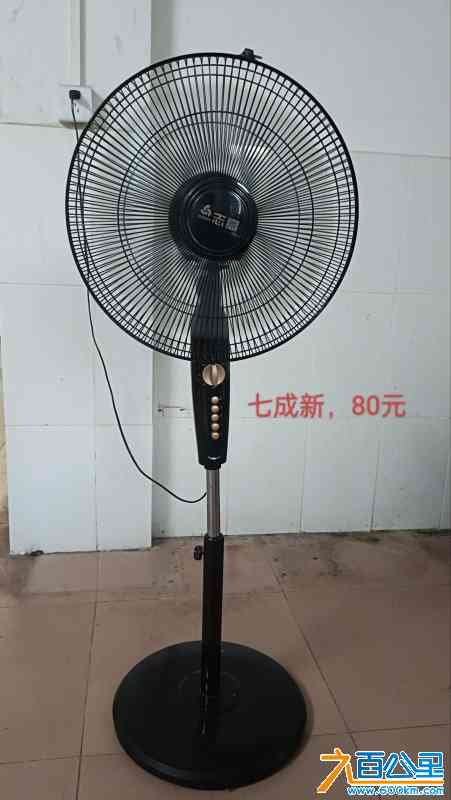 志高牌落地扇-80元.jpg