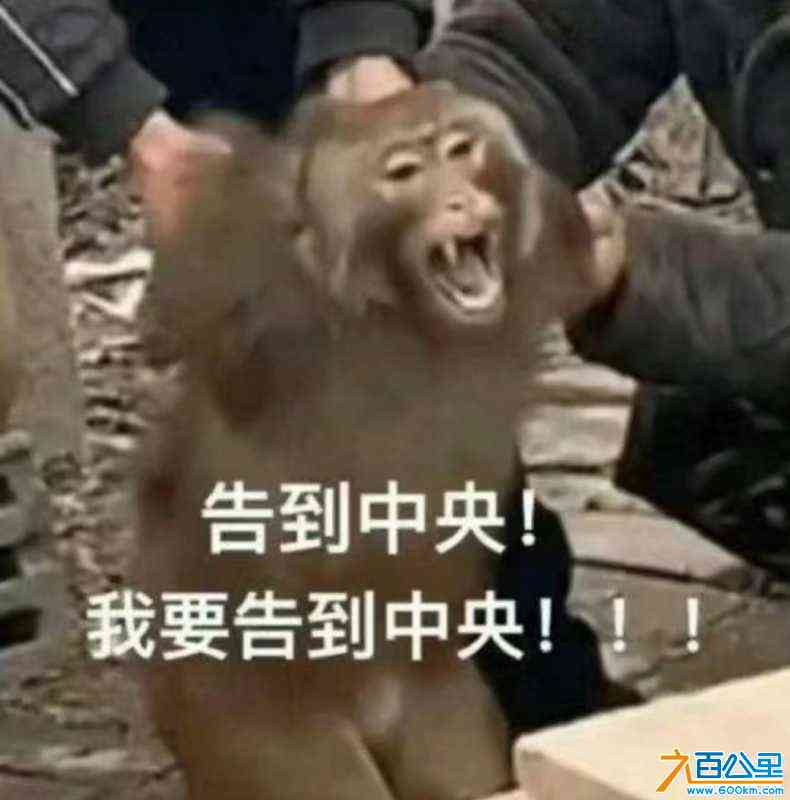 wechat_upload172468606366cc9eef8b603