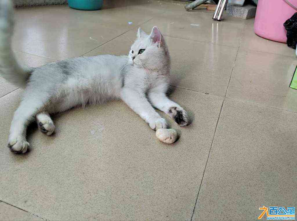 wechat_upload172477107266cdeb0058735
