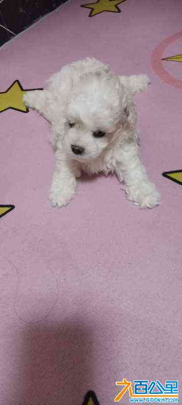 wechat_upload172519534166d4644d38151