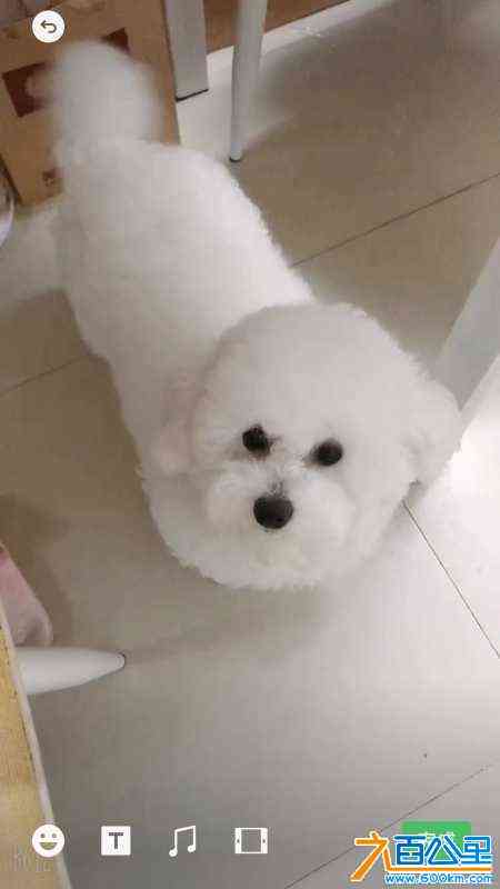 wechat_upload172520235366d47fb1297cf
