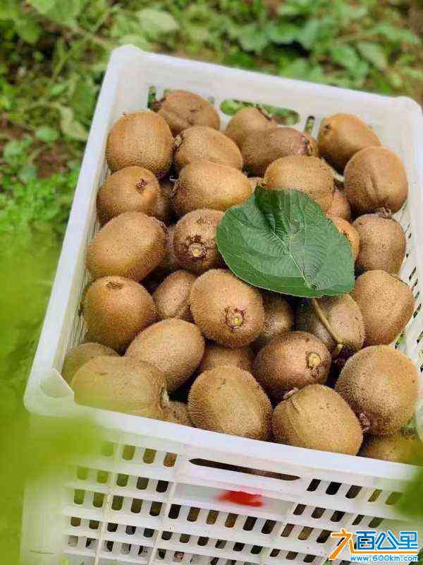 wechat_upload172543933266d81d644150c