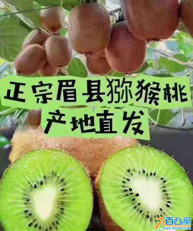 wechat_upload172543933566d81d6797faa