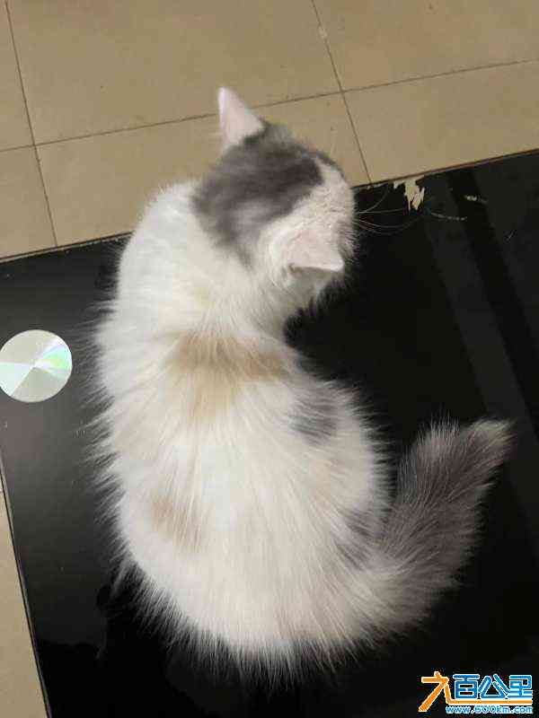 wechat_upload172594051066dfc31eb7bd9