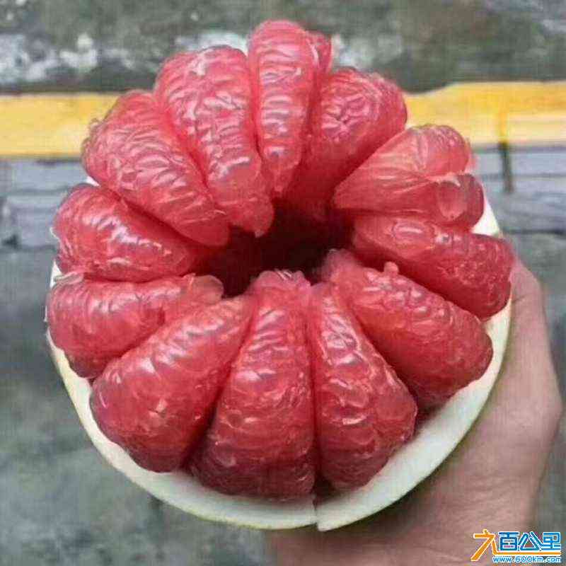 wechat_upload172624543866e46a3e23a9a