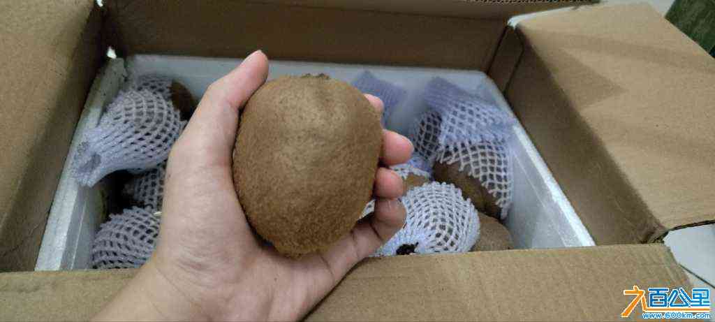 wechat_upload172666119666eac24c1ed0f