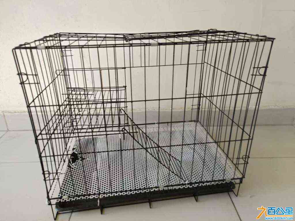 wechat_upload172691894866eeb124dc941