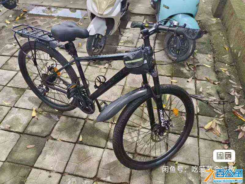 wechat_upload1728135415670140f7a7007
