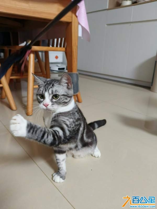 wechat_upload17291398006710945820c7b