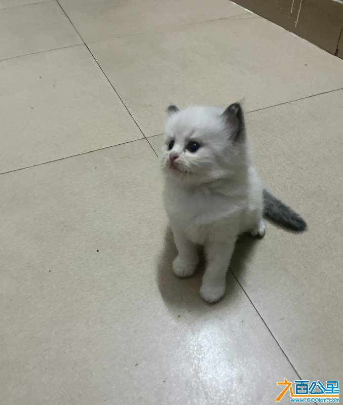 wechat_upload17294051316714a0cb19380