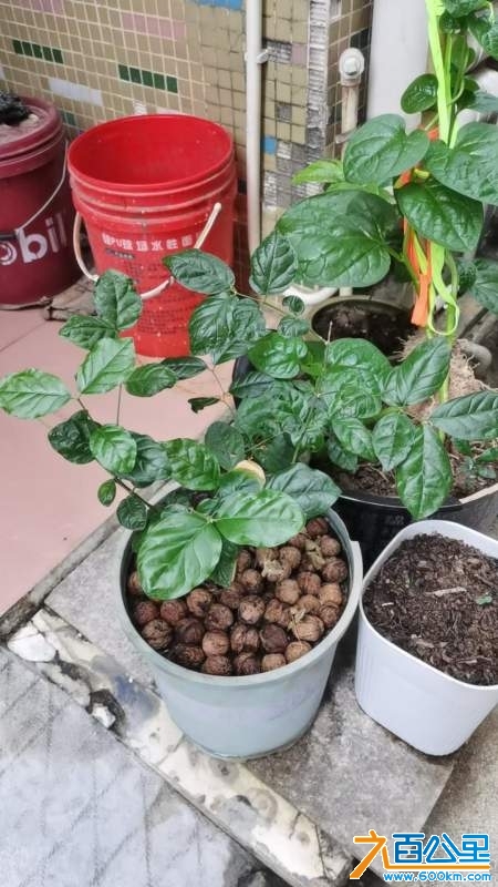 wechat_upload1729936740671cbd647ed68