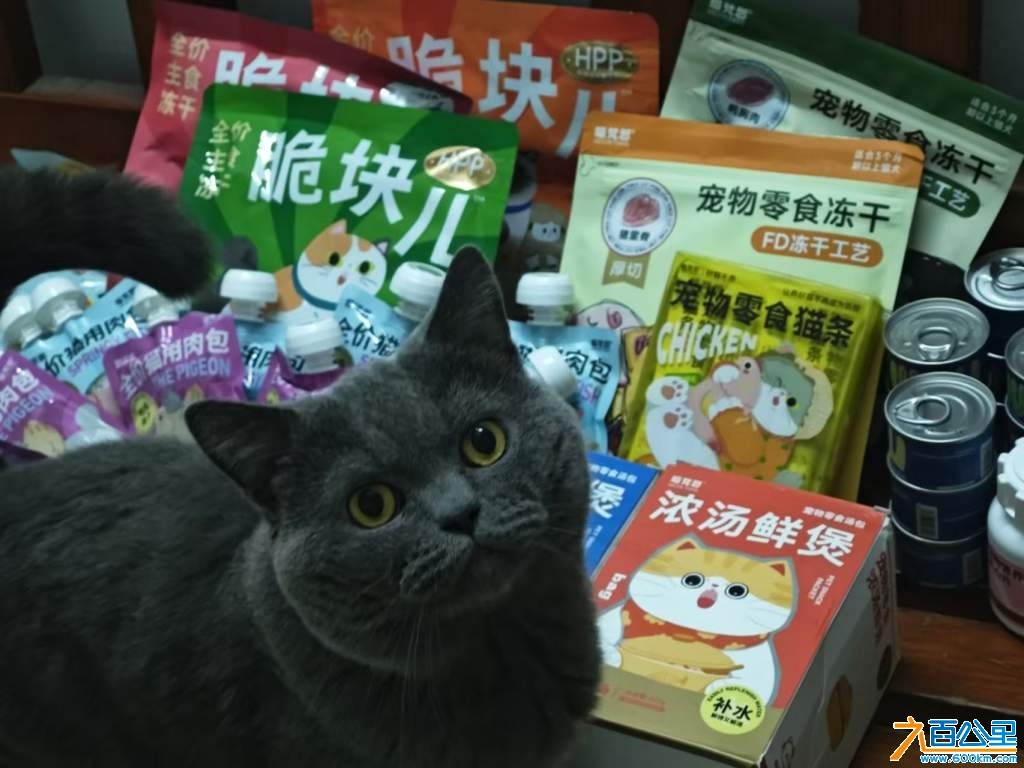 wechat_upload1730352893672316fd68875
