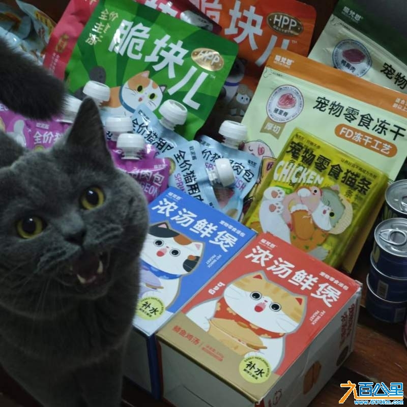 wechat_upload1730352894672316fe8a26a
