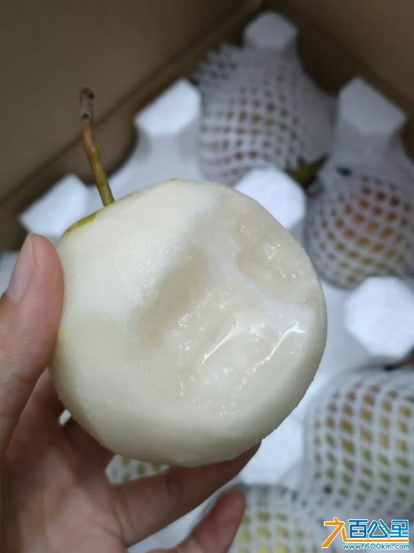 wechat_upload17305322966725d3c82bc55