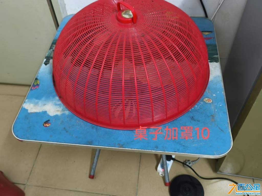 wechat_upload1730578141672686dd9ed83