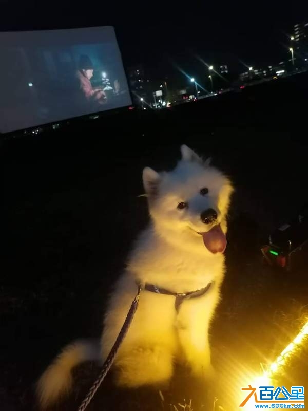 wechat_upload1733206775674ea2f7cdb82