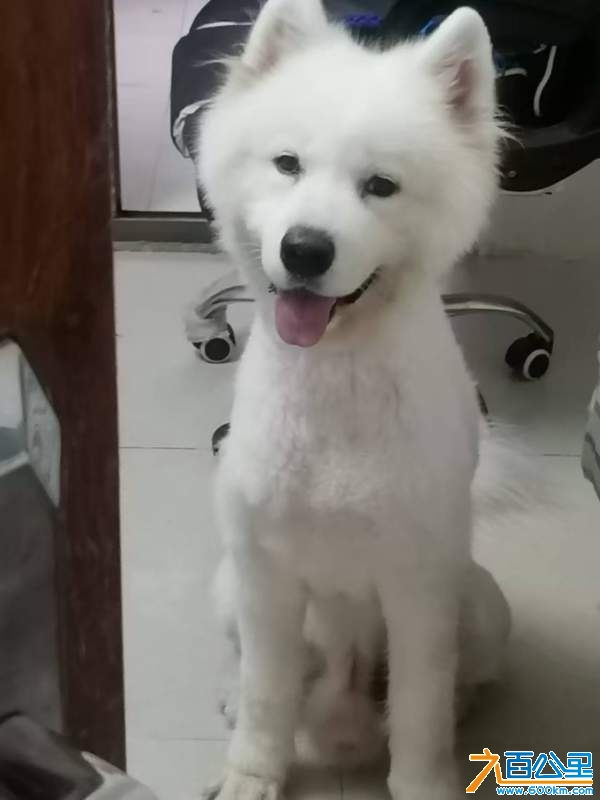 wechat_upload1733206778674ea2fa8d7c5