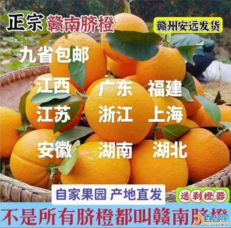wechat_upload17335538386753eeae8b841